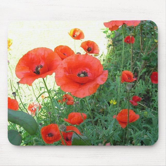 Mousepad Klatschmohn (Frente)