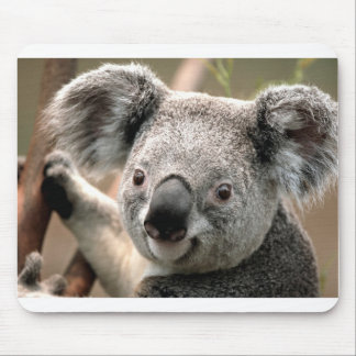 Mousepad Koala