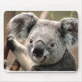 Mousepad Koala
