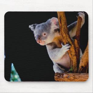 Mousepad Koala Cute em Cinza