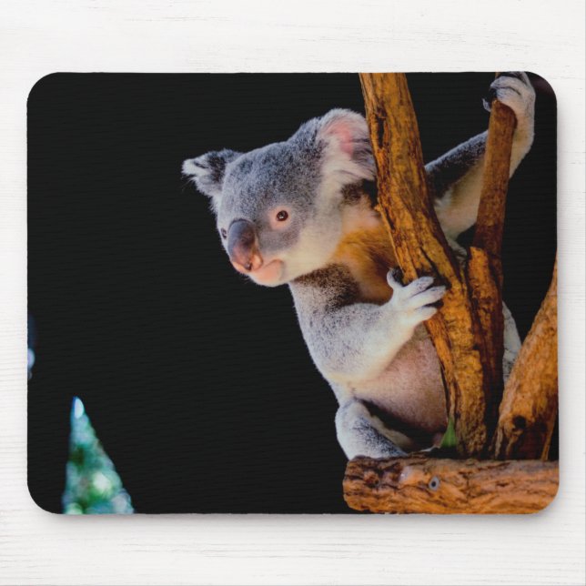 Mousepad Koala Cute na Cinza (Frente)