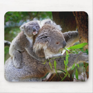 Mousepad Koala da mamã e do filho