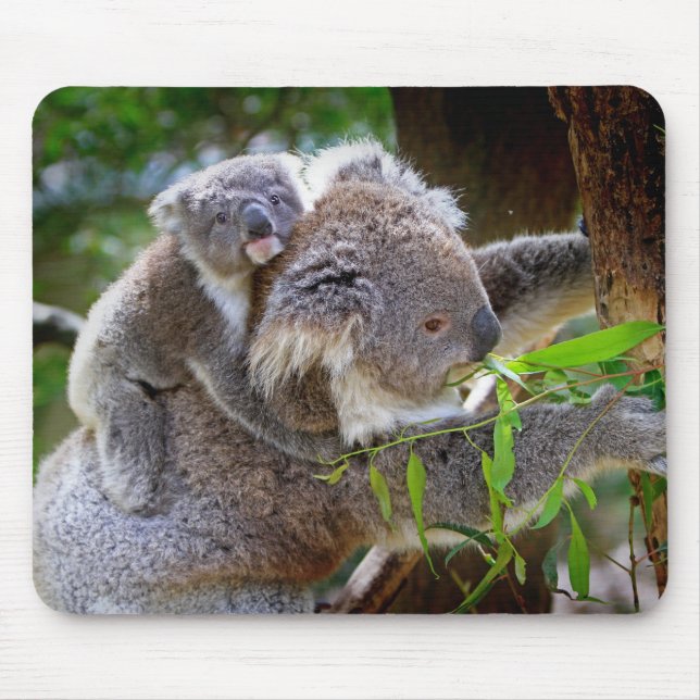Mousepad Koala da mamã e do filho (Frente)