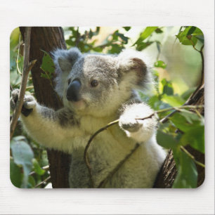 Mousepad Koala linda