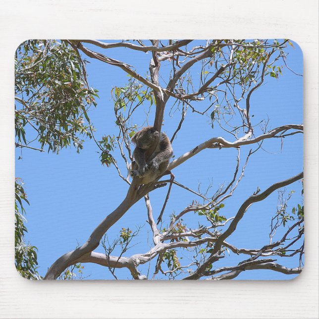 Mousepad Koala Nap (Frente)
