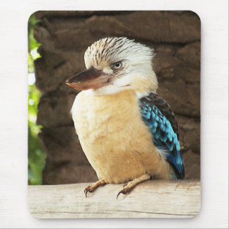Mousepad Kookaburra