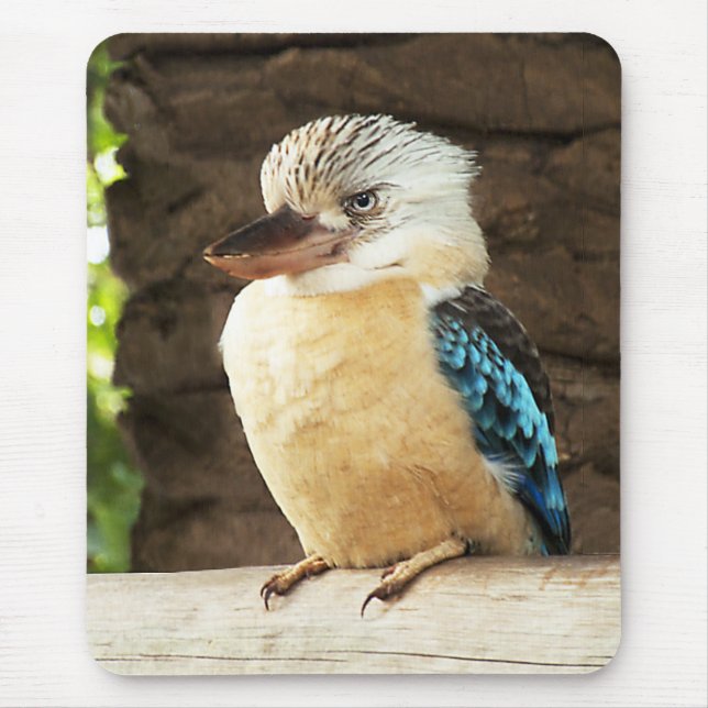 Mousepad Kookaburra (Frente)