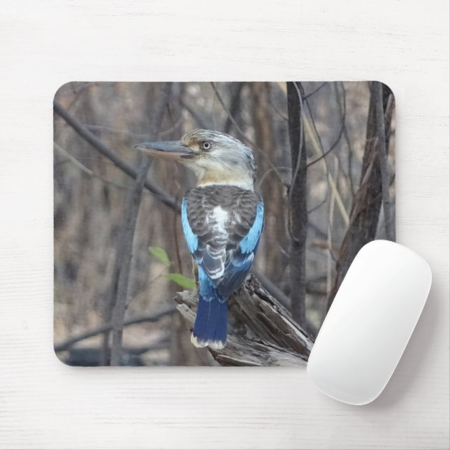 Mousepad Kookaburra Bird (Com mouse)