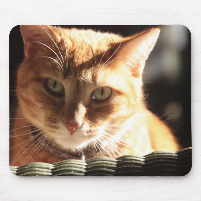 Mousepad Kute Gatinho! (Frente)