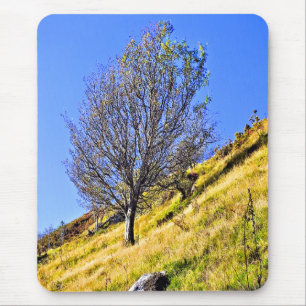 MOUSEPAD L0NE TREE