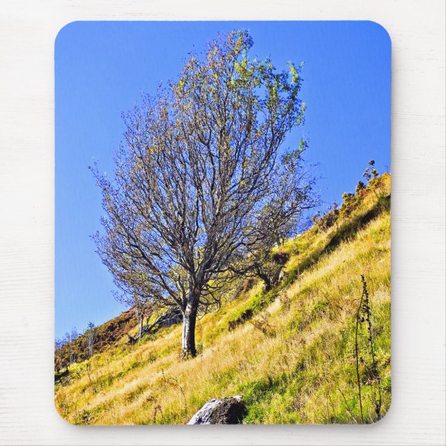 MOUSEPAD L0NE TREE (Frente)