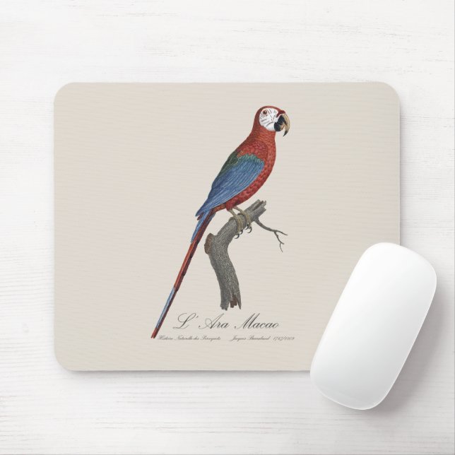 Mousepad L' Ara Macao / Red and green Macaw (Com mouse)