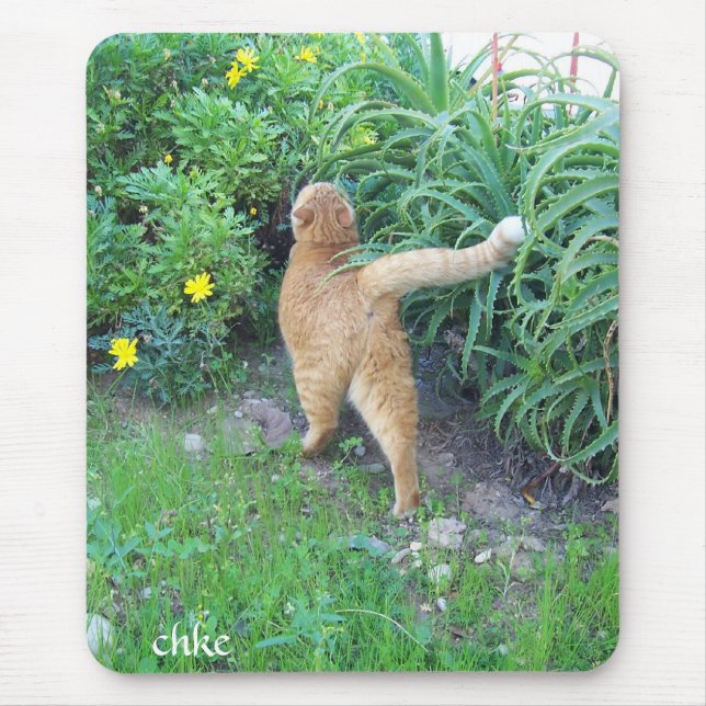 Mousepad La favorita del barrio (Frente)