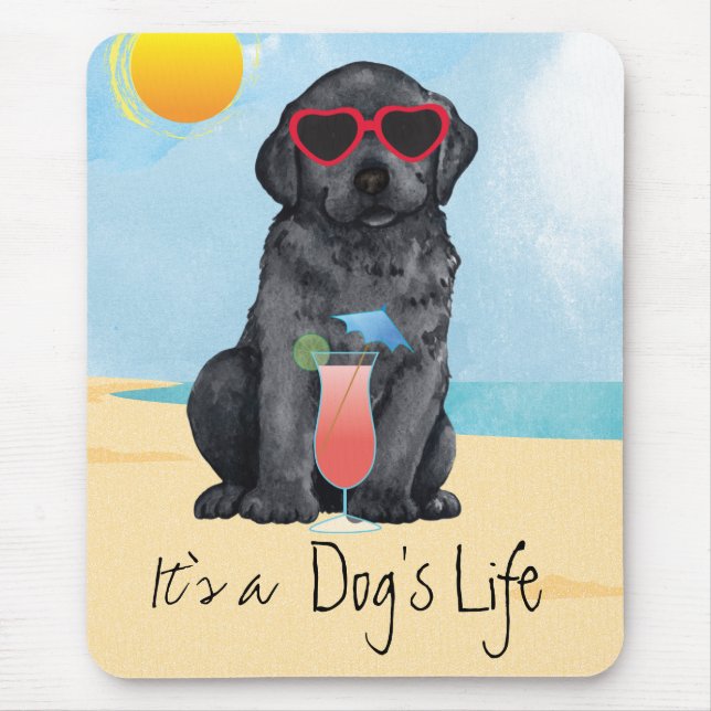 Mousepad Laboratório de Verão Preto (Frente)