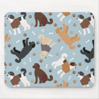 Labradoodle / Ossos e patas de Goldendoodle