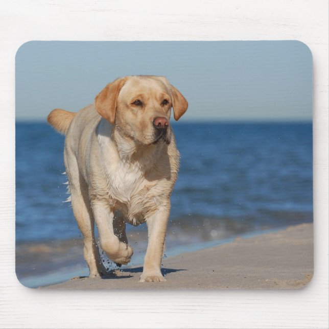 Mousepad Labrador amarelo na praia (Frente)