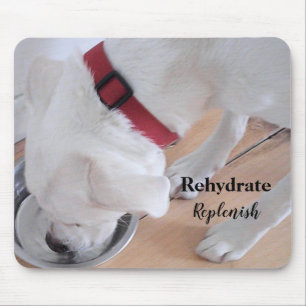 Mousepad Labrador Branco Cujo Cachorro Mistura Cachorro Beb