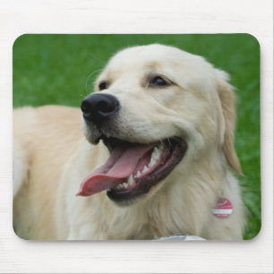 Mousepad Labrador doce e amigável