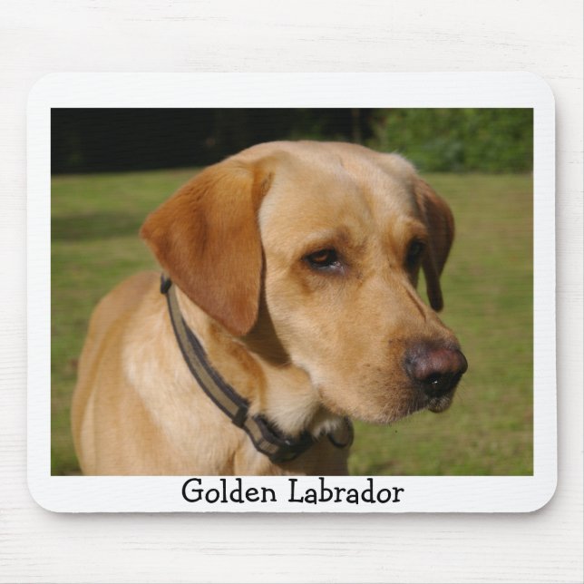 Mousepad Labrador dourado (Frente)