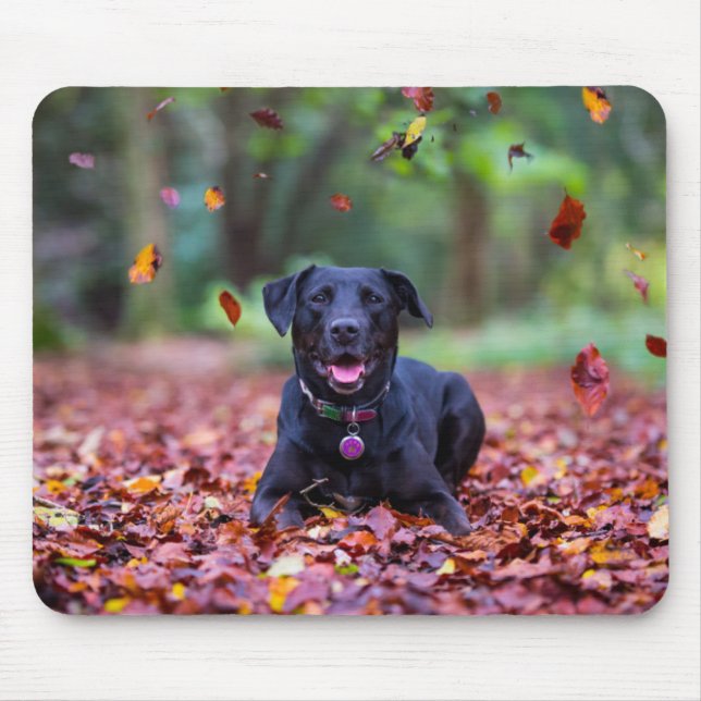 Mousepad Labrador Negro Em Folhas De Queda (Frente)