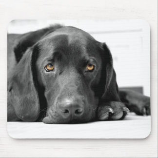 Mousepad Labrador preto