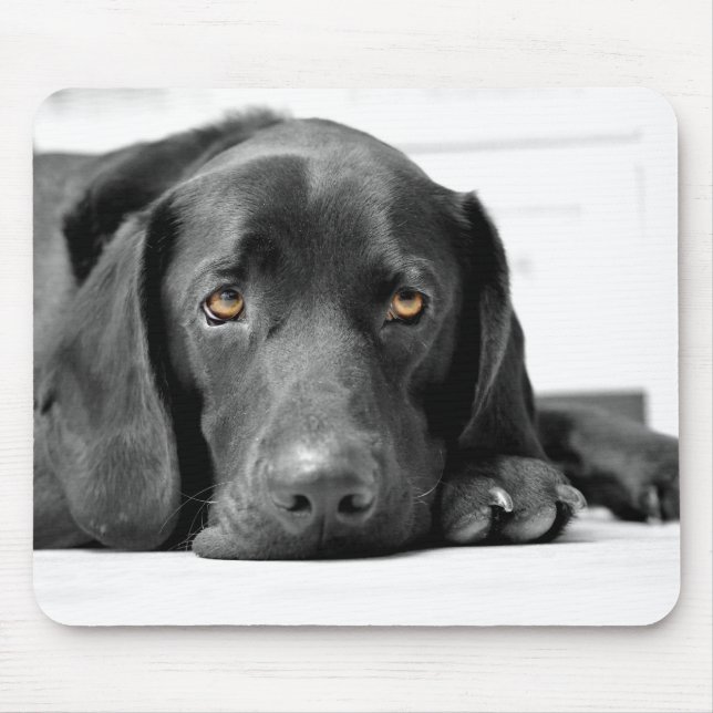 Mousepad Labrador preto (Frente)