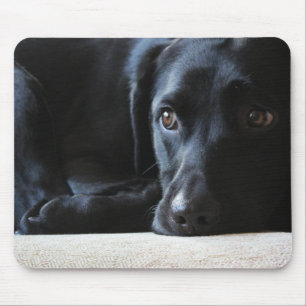 Mousepad Labrador preto