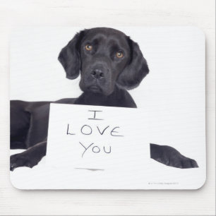 Mousepad Labrador preto 13 meses