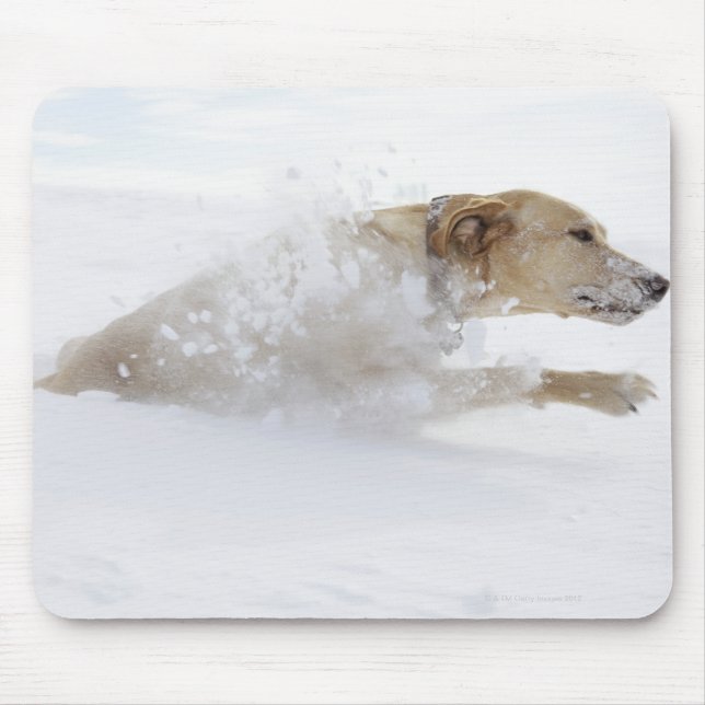 Mousepad Labrador recuperador que atravessa a neve profunda (Frente)