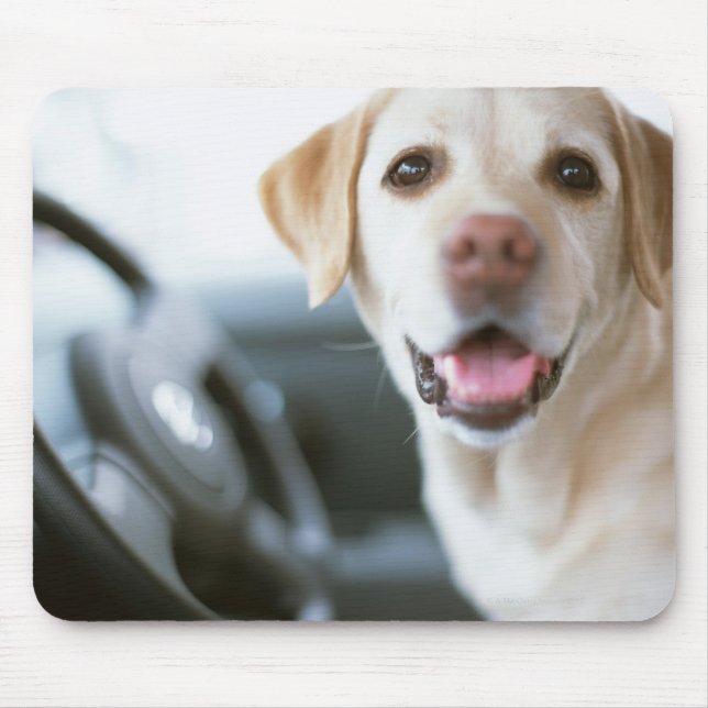 Mousepad Labrador Retriever (Frente)