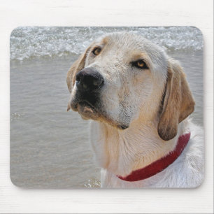 Mousepad Labrador Retriever