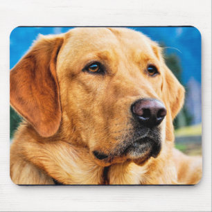 Mousepad Labrador retriever dourado