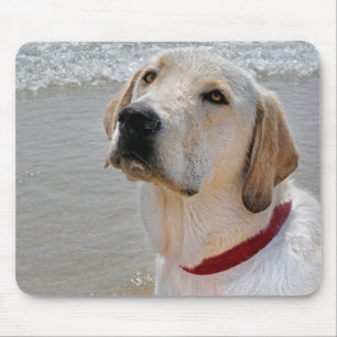 Mousepad Labrador Retriever na Praia