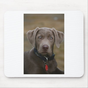 Mousepad Labrador retriever na prata clara rara