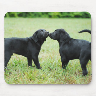 Mousepad Labrador retriever preto
