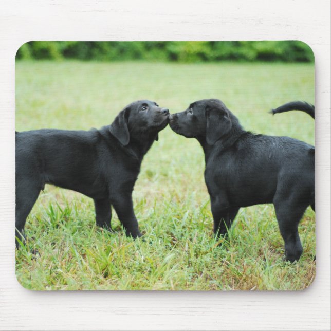 Mousepad Labrador retriever preto (Frente)