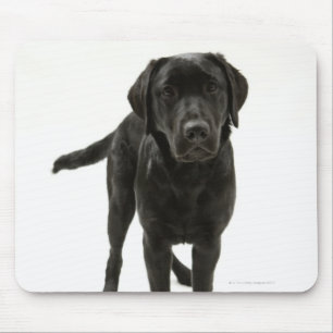 Mousepad Labrador retriever preto