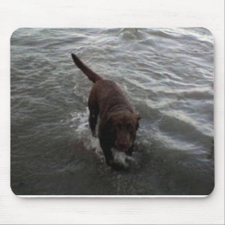 Mousepad Labrador retriever que nada