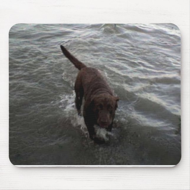 Mousepad Labrador retriever que nada (Frente)