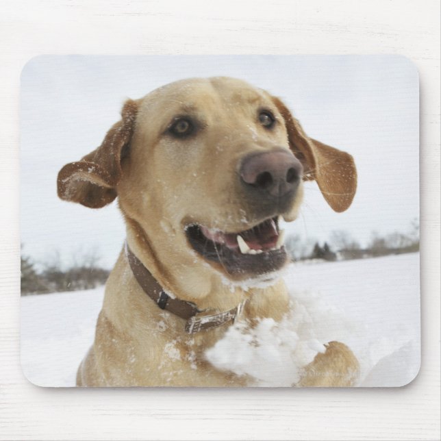 Mousepad Labrador saltando através da neve profunda (Frente)