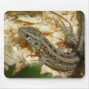 Mousepad Lacerta agilis