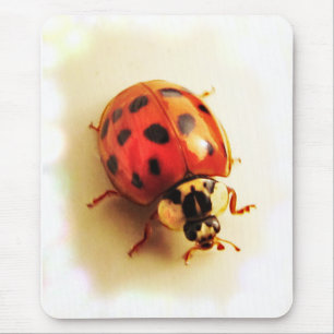 Mousepad Ladybug