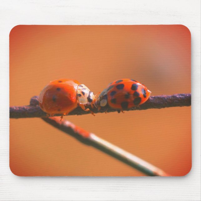 Mousepad Ladybug Amigos Natureza (Frente)