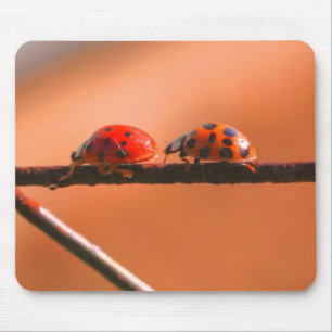 Mousepad Ladybug Buddies Nature