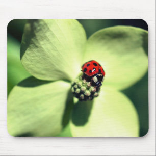 Mousepad Ladybug Na Flor Dogwood