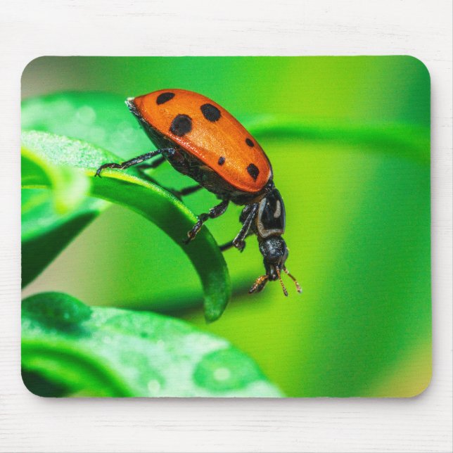Mousepad Ladybug on Leaf – Macro Nature Photo Art Print (Frente)