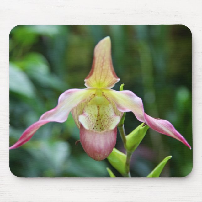 Mousepad - Ladyslipper (Frente)