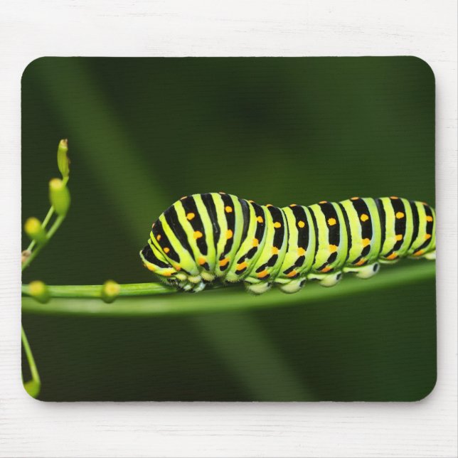 Mousepad Lagarta, borboleta, coroa (Frente)
