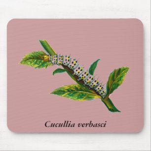 Mousepad Lagarta-da-cucullia verbasci