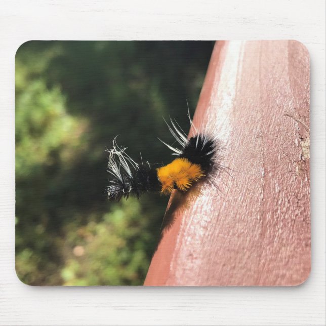 Mousepad Lagarta dançante (Frente)